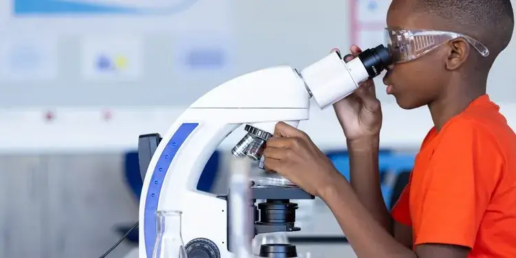 Ciência na Educação: Niterói lança edital 2026