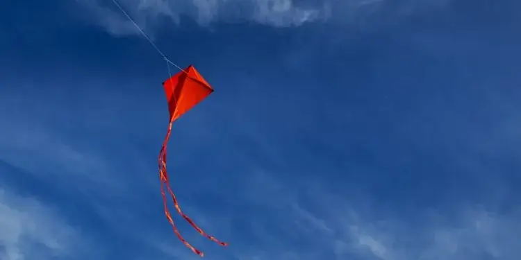 Operação apreende linha chilena e prende vendedor em Niterói